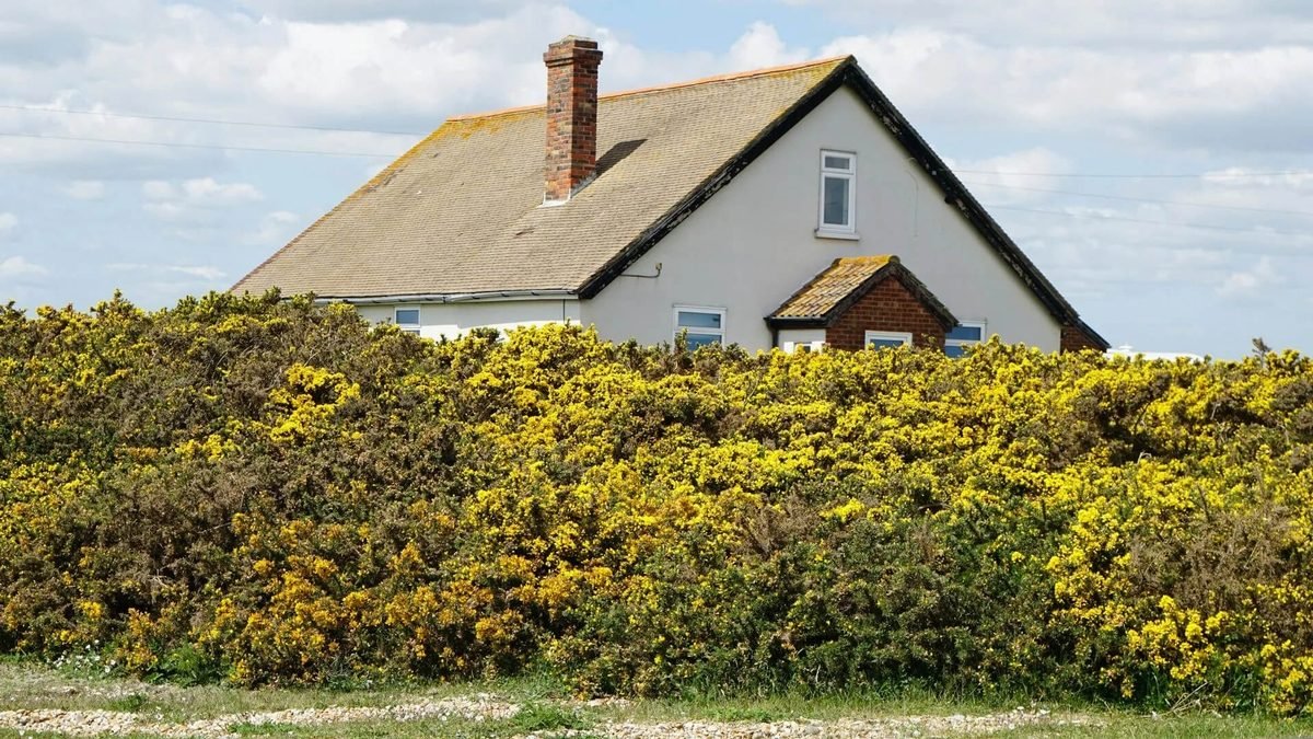 Preventative Maintenance You Should Do This Fall to Protect Your Home from Seasonal Damage