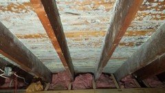 Attic Mold Removal Done Right: What Homeowners Should Know
