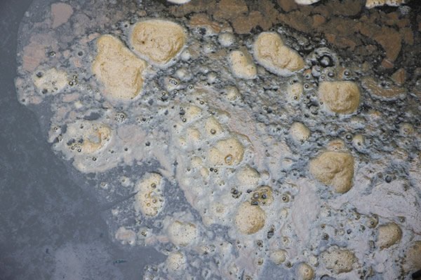 Sewage Cleanup in Greenwood Indiana