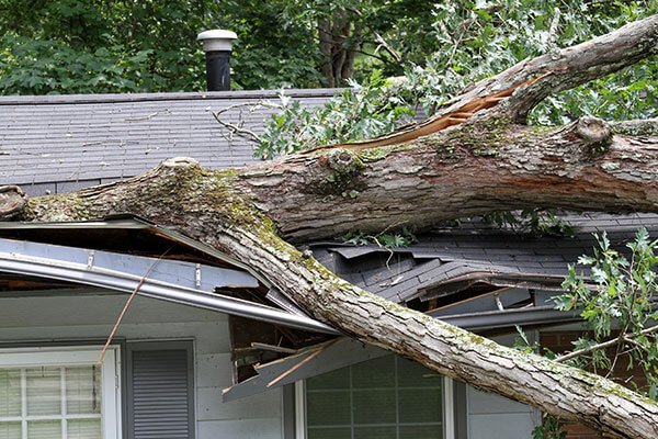 Storm Damage in Greenwood Indiana